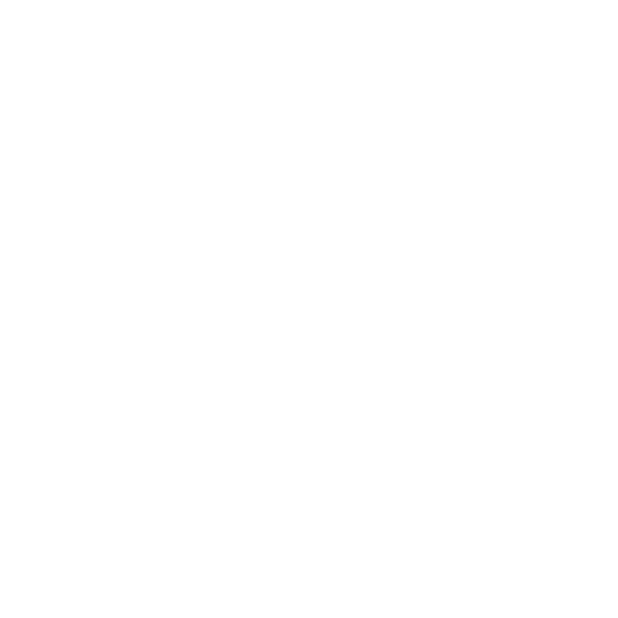 Polarion Logo